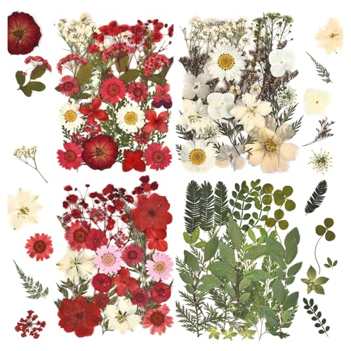 DALARAN 100pcs Red Natural Flowers and Leaves Compressed Dried Flowers for Resin Vacuum Packed DIY Dried Flowers for Epoxy Jewelry Candles Soap Nail