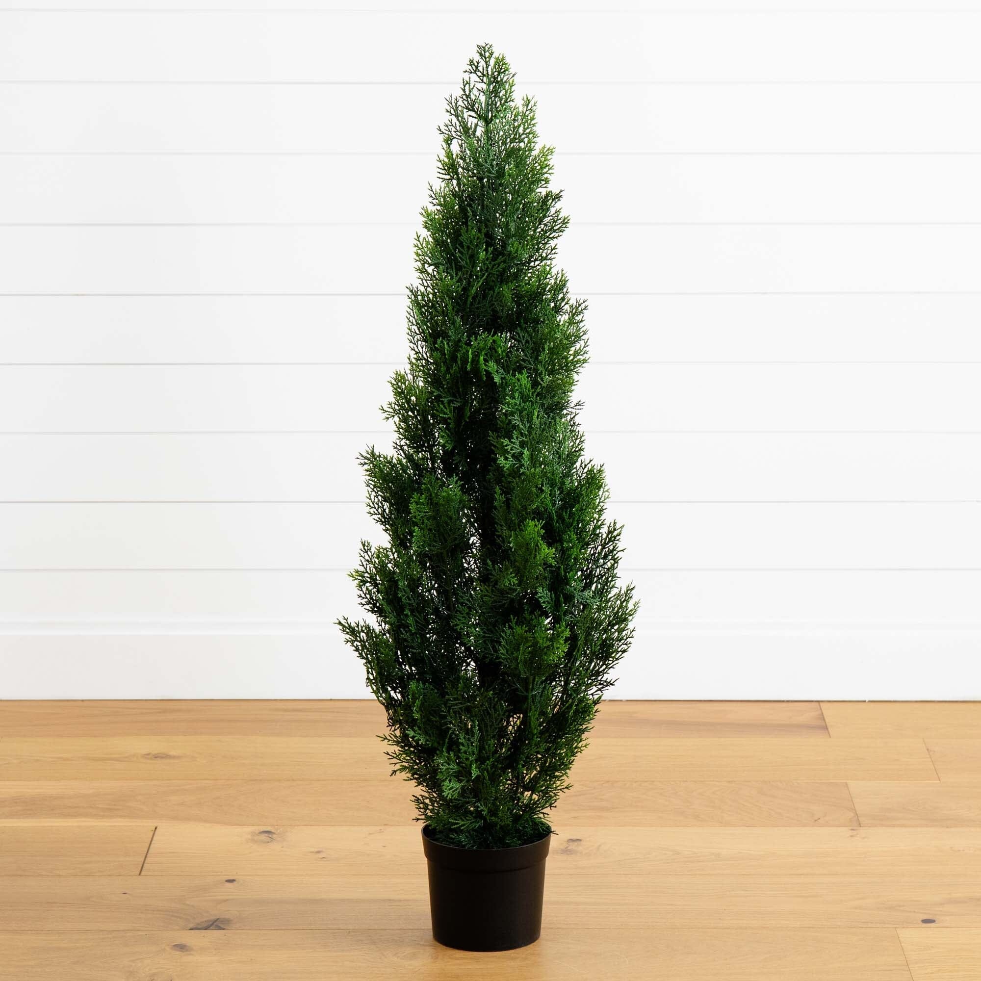 4′ Cedar Tree Silk Tree (Indoor/Outdoor)